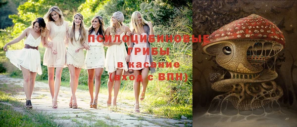 мяу мяу мука Арсеньев