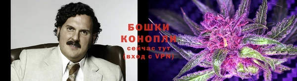 гидропоника Армянск