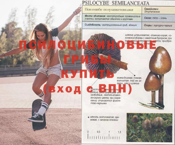 бутират Аркадак