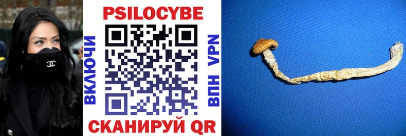 Псилоцибиновые грибы Magic Shrooms  Правдинск 